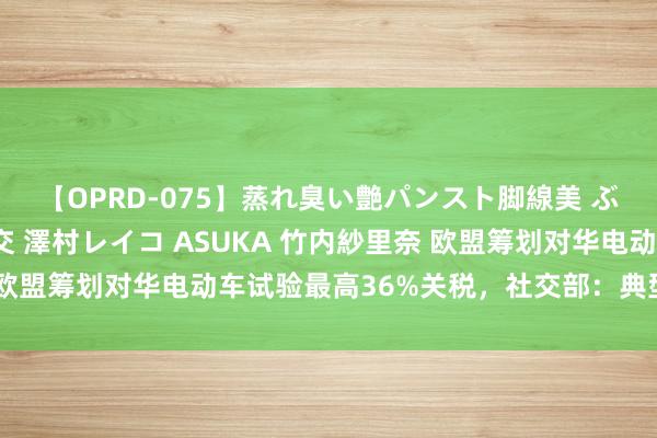 【OPRD-075】蒸れ臭い艶パンスト脚線美 ぶっかけゴックン大乱交 澤村レイコ ASUKA 竹内紗里奈 欧盟筹划对华电动车试验最高36%关税，社交部：典型保护观点