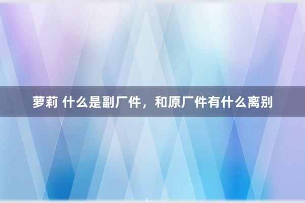 萝莉 什么是副厂件，和原厂件有什么离别
