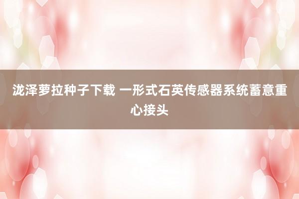 泷泽萝拉种子下载 一形式石英传感器系统蓄意重心接头