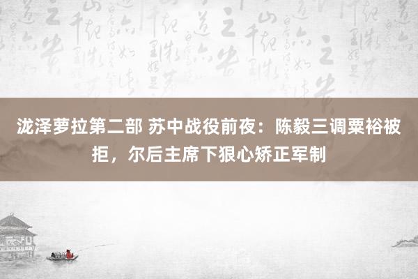 泷泽萝拉第二部 苏中战役前夜：陈毅三调粟裕被拒，尔后主席下狠心矫正军制